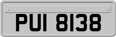 PUI8138