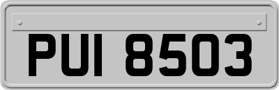 PUI8503