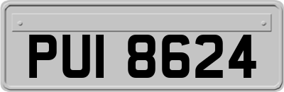 PUI8624