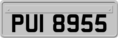 PUI8955