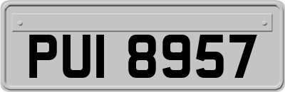 PUI8957