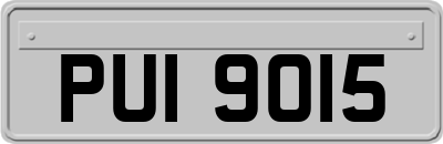PUI9015