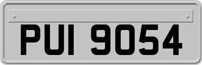 PUI9054