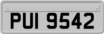 PUI9542