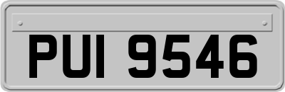 PUI9546