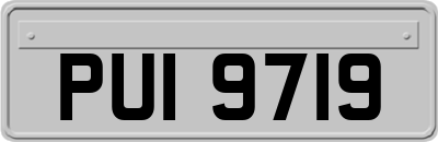 PUI9719