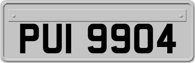 PUI9904