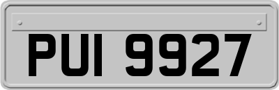 PUI9927