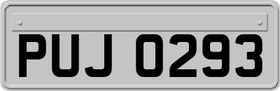 PUJ0293