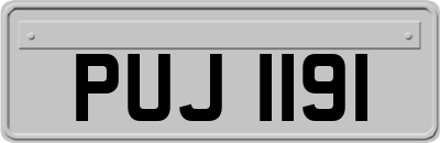 PUJ1191