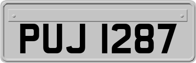 PUJ1287