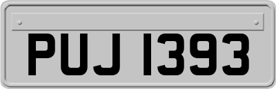PUJ1393