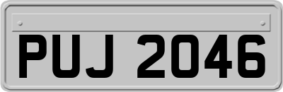 PUJ2046