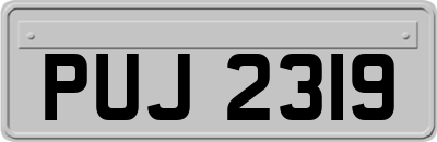 PUJ2319