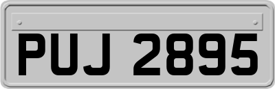 PUJ2895
