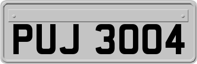 PUJ3004