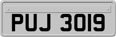 PUJ3019