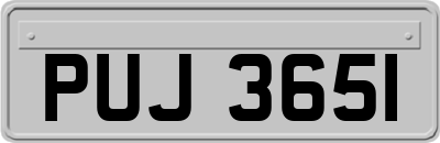 PUJ3651