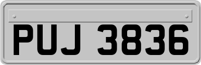 PUJ3836