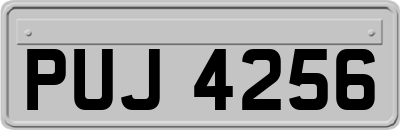 PUJ4256