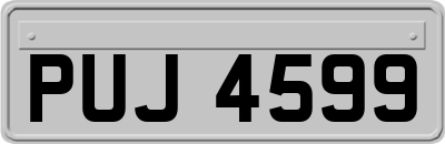 PUJ4599