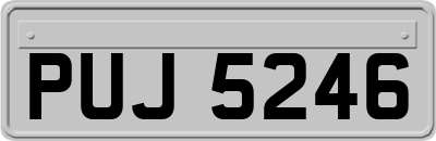PUJ5246