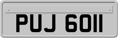PUJ6011