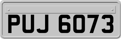 PUJ6073