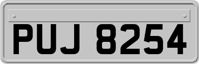 PUJ8254
