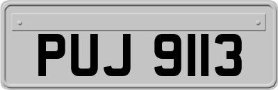 PUJ9113