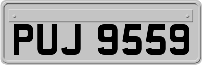 PUJ9559