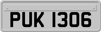 PUK1306