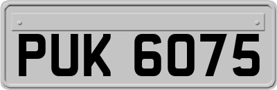 PUK6075