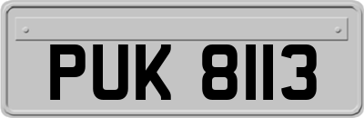 PUK8113