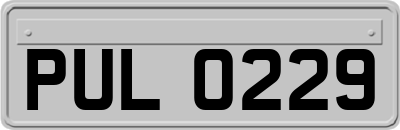 PUL0229
