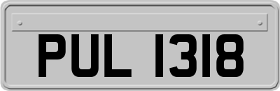 PUL1318