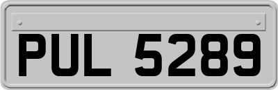PUL5289