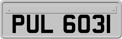 PUL6031