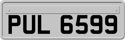 PUL6599