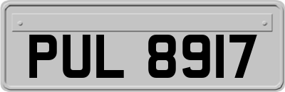 PUL8917