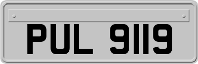 PUL9119
