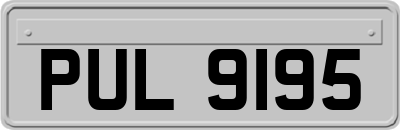 PUL9195