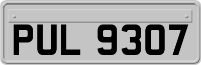 PUL9307