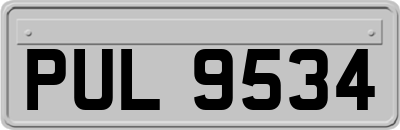 PUL9534