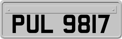 PUL9817