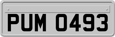 PUM0493
