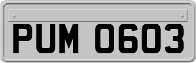 PUM0603