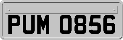 PUM0856