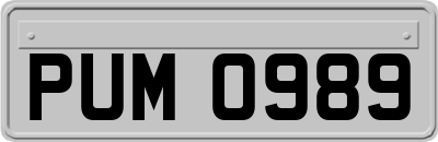 PUM0989