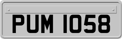 PUM1058